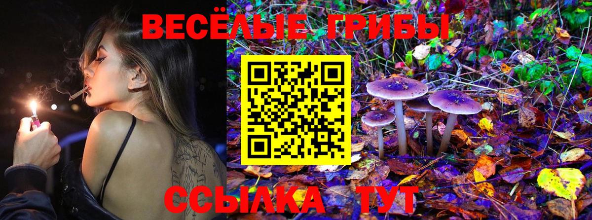 Псилоцибиновые грибы прущие грибы Азнакаево