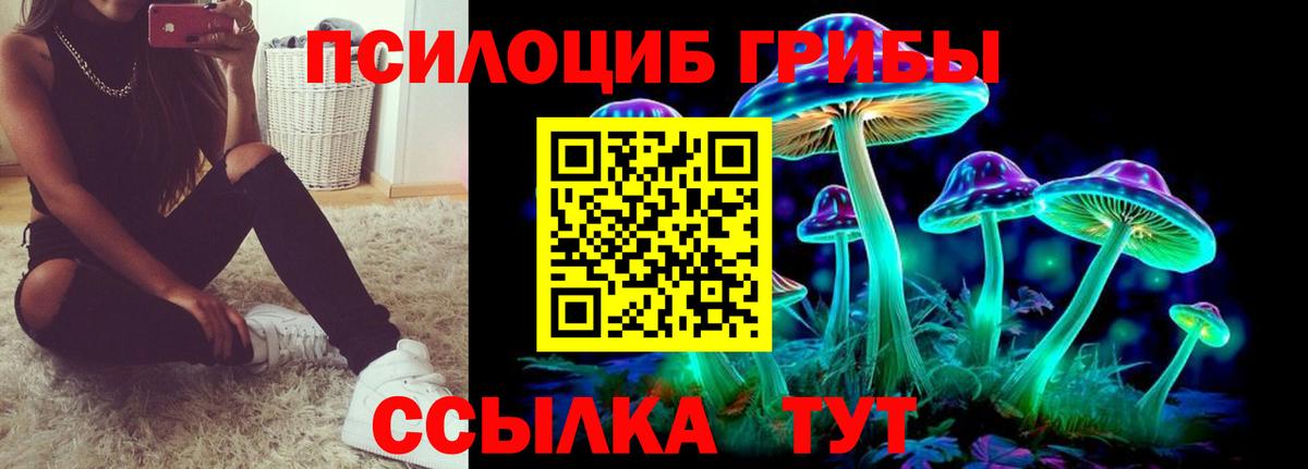 Псилоцибиновые грибы MAGIC MUSHROOMS  Вход с VPN  Азнакаево 